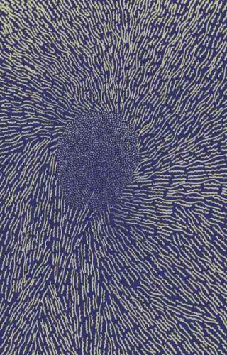 Phezulu : Rebirth of Forbidden Witchery